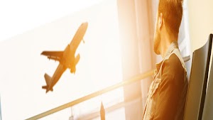 Kiwi Fern Immigration Services Limited place picture